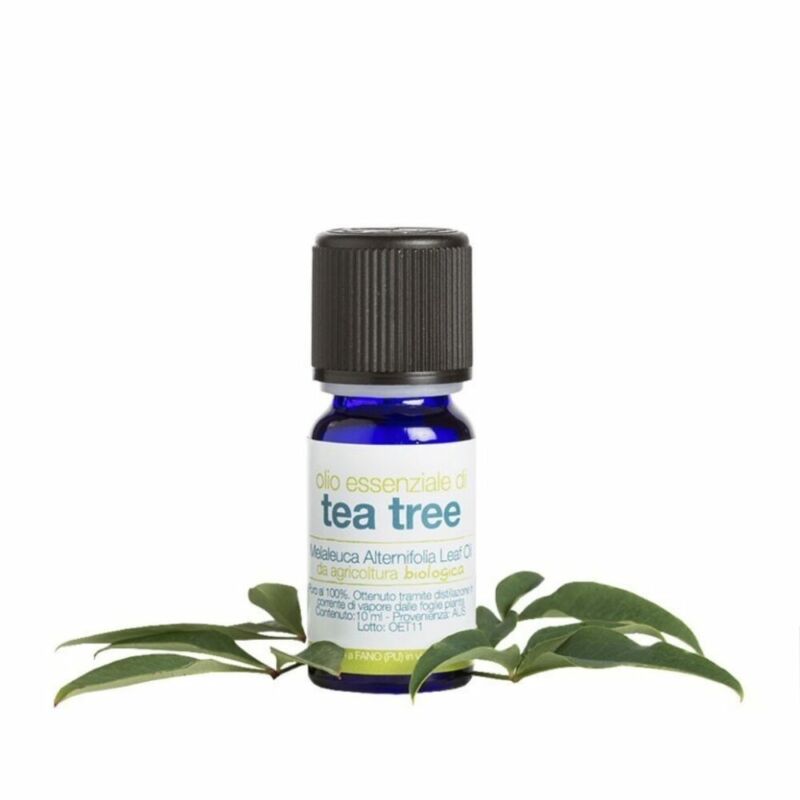 Olio essenziale di tea tree Bio