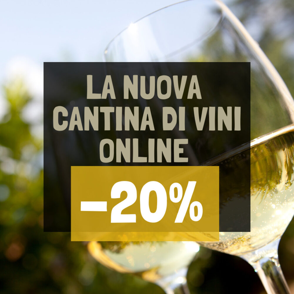 LA NUOVA CANTINA DI VINI ONLINE (2)